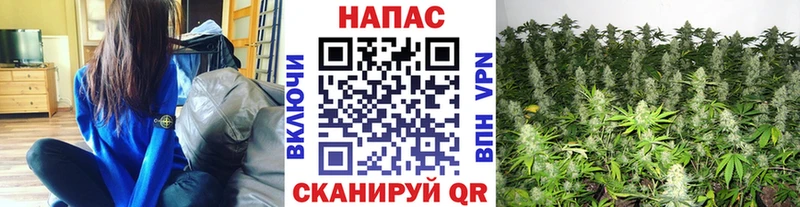 купить наркотик  Беломорск  Марихуана ГИДРОПОН 